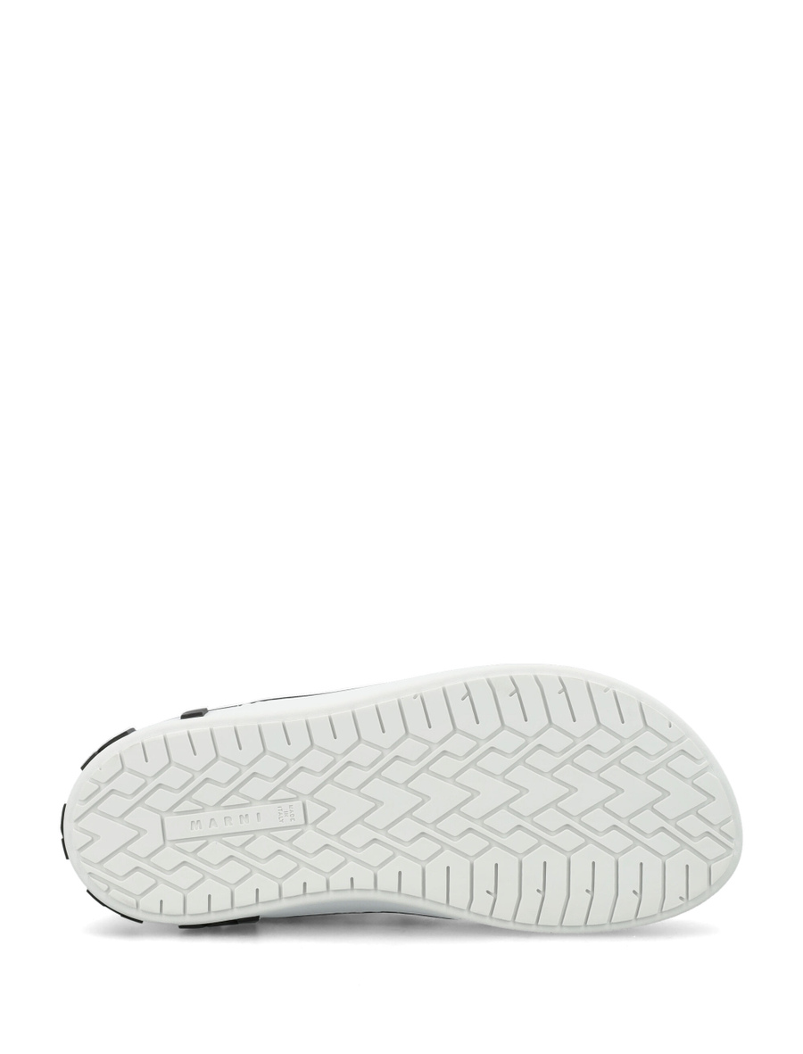 Paw sneakers - Spazio Pritelli