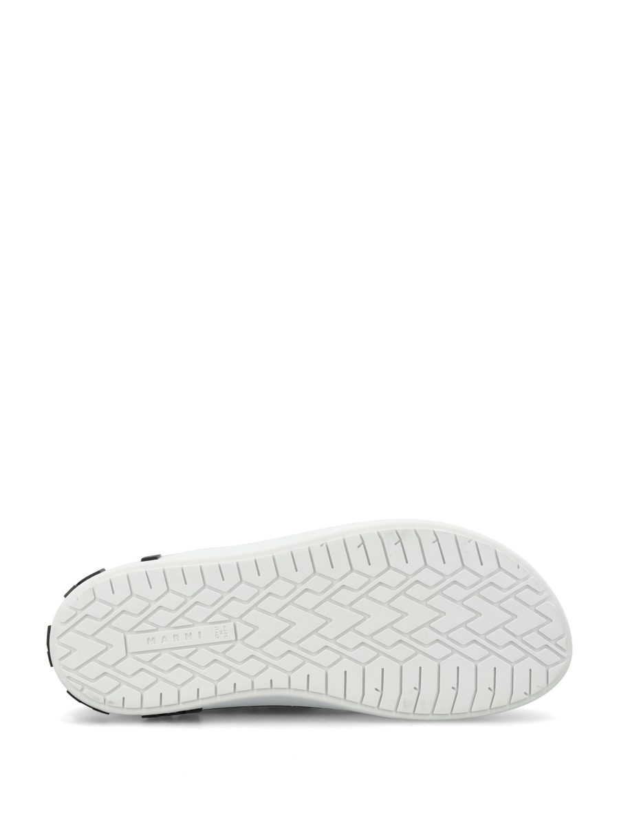 Paw sneakers - Spazio Pritelli