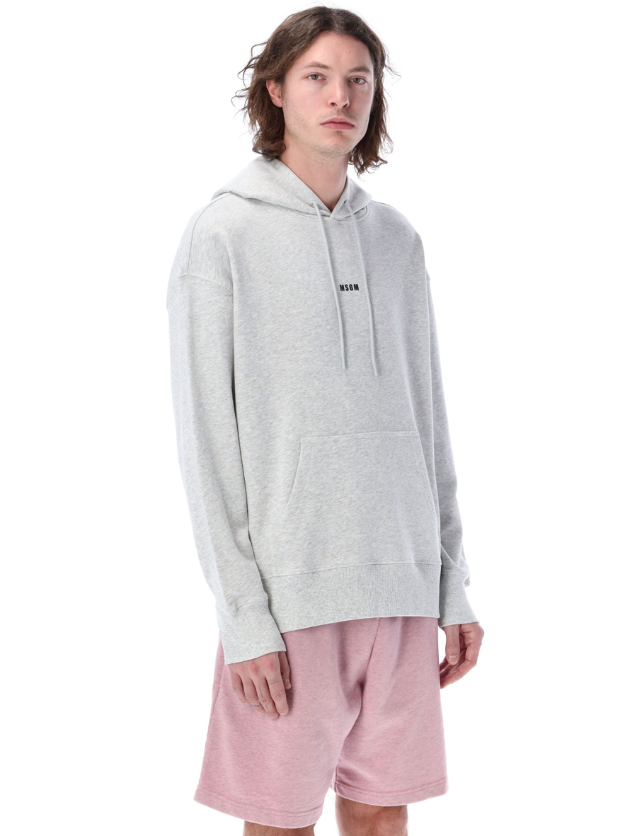Micro logo hoodie - Spazio Pritelli