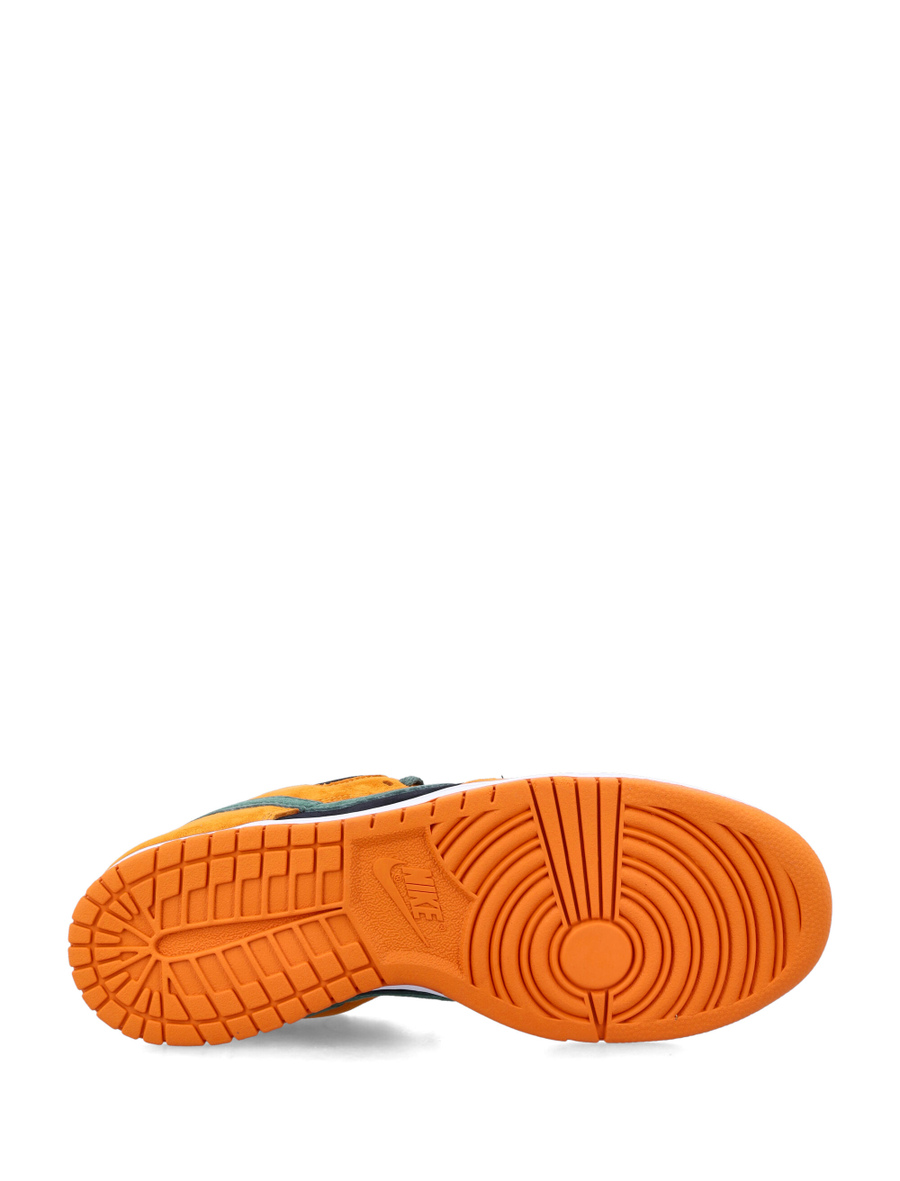 Dunk low SP - Spazio Pritelli