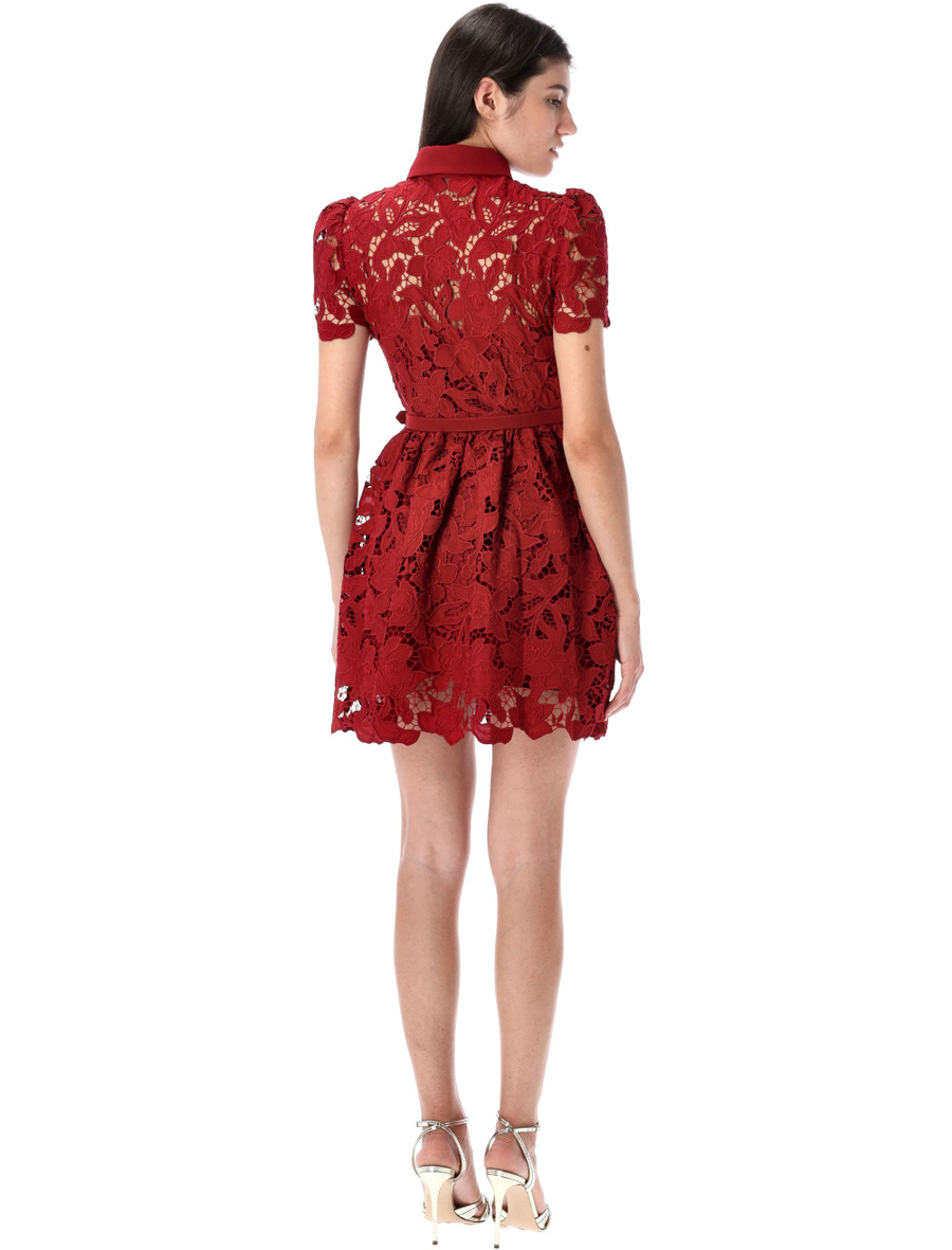 Lace collared mini dress - Spazio Pritelli