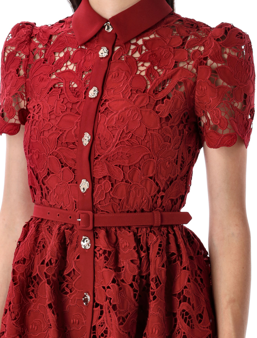 Lace collared mini dress - Spazio Pritelli