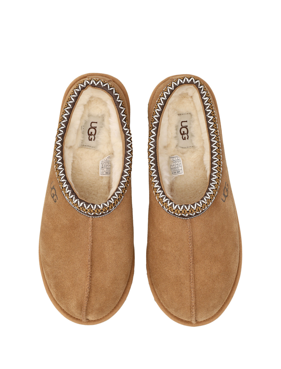 Tasman mules - Spazio Pritelli
